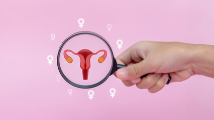 Checkup uterus reproductive system , women's health, PCOS, ovary cancer treatment and examine,...