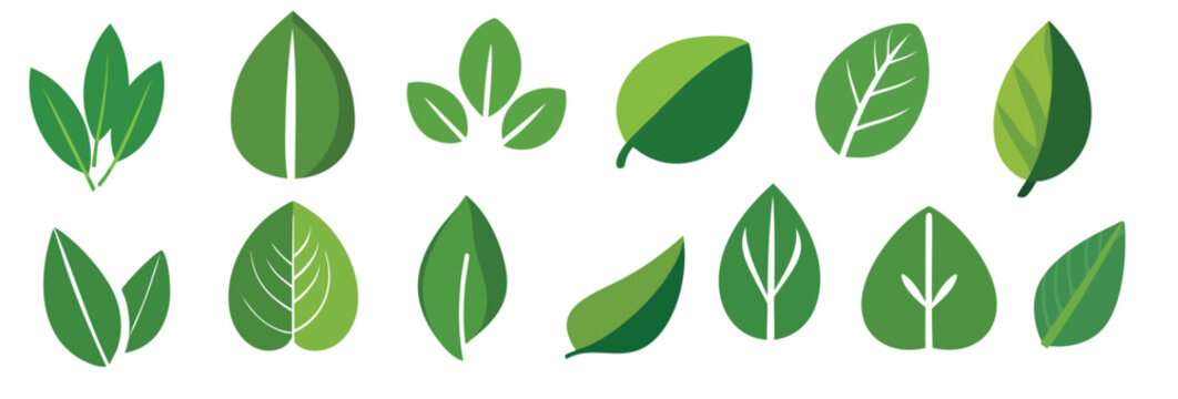 set of green leaves icon  isolate with white background