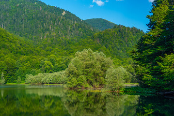 Biogradska Gora national park in Montenegro