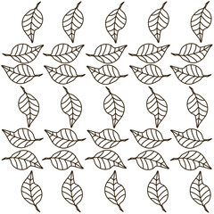Leaf Pattern1