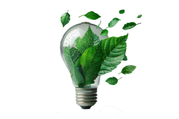 Green eco-friendly energy concept with light bulb and green leaves isolated on transparent background