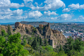 Obraz premium Narikala fortress viewed from botanical garden in Tbilisi, Georgia