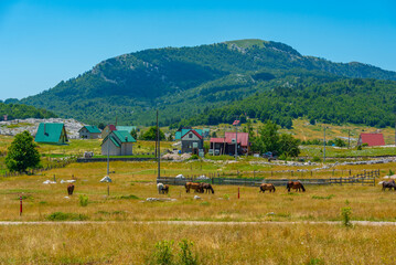 Obraz premium Panorama of Montenegrin village Korita
