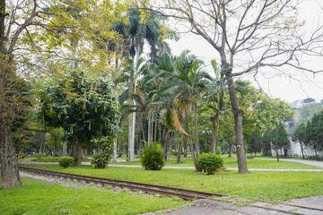 trees in the park