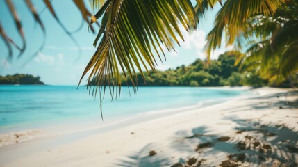 A palm tree stands tall in the foreground of a stunning tropical beach with clear blue waters and white sandy shores - obrazy, fototapety, plakaty