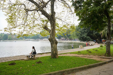 lake in the park - obrazy, fototapety, plakaty