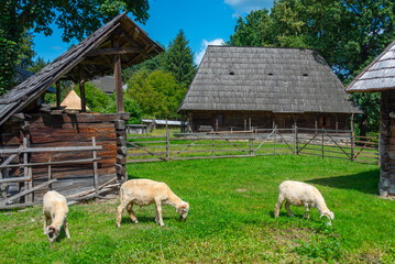 Maramures Village Museum in Sighetu Marmatiei in Romania