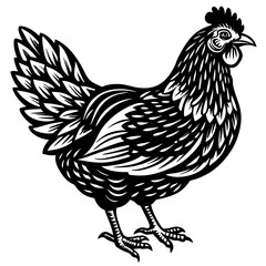    chicken vector illustration
