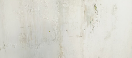 The wall of the house building