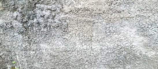 The wall of the house building