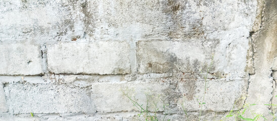 The wall of the house building