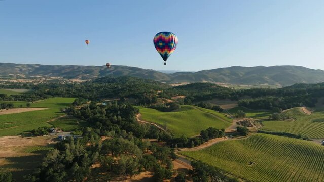 Hot Air Balloons over Napa Valley with Blue Sky and Green Vineyards of Grapevines