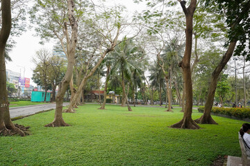 Fototapeta premium park in the city