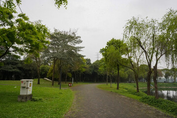 park with trees