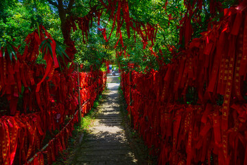 Red cloth strips on the wishing tree in Tongguling, Wenchang, Hainan, China