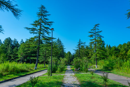 Park at tskaltubo park in Georgia