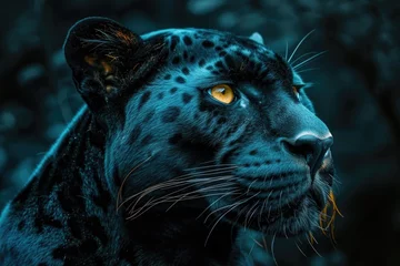  Black panther with yellow eyes stares at camera © Alexandr