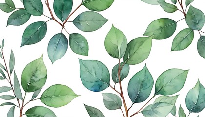 Watercolor Illustration of Eucalyptus for Textile and Greeting Card