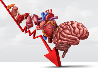Declining Human Health and aging process of organs as decreasing functioning of the heart lungs kidney pancreas and brain as a healthcare or health-care symbol.