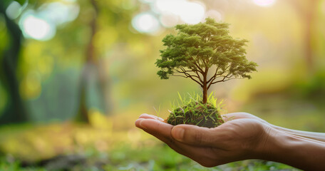 A hand holding a small tree in a forest