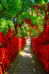 Red cloth strips on the wishing tree in Tongguling, Wenchang, Hainan, China
