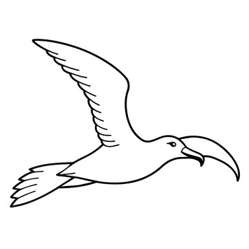 recommend clip art: albatross line art vector