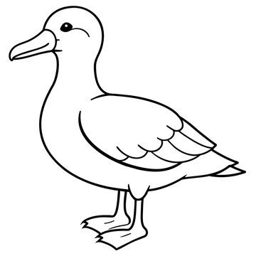 recommend clip art: albatross line art vector