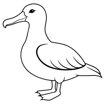 recommend clip art: albatross line art vector