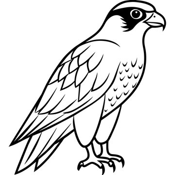 recommend clip art: falcon line art vector