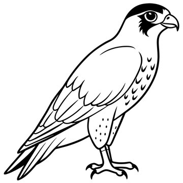 black and white falcon standing clip art preview