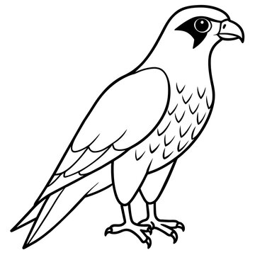 recommend clip art: falcon line art vector