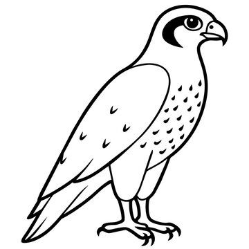 recommend clip art: falcon line art vector