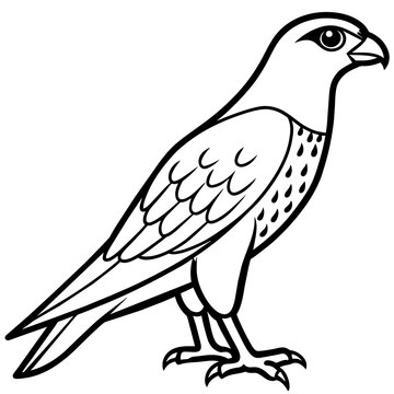 recommend clip art: falcon line art vector