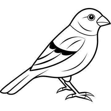 recommend clip art: finch line art vector