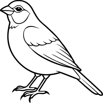 recommend clip art: finch line art vector