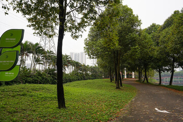 Obraz premium trees in the park
