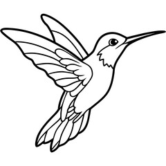 hummingbird line art vector