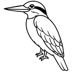 kookaburra line art vector