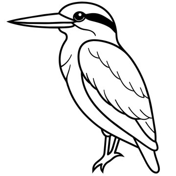 recommend clip art: kookaburra line art vector