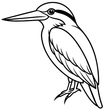 recommend clip art: kookaburra line art vector