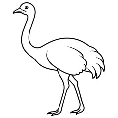ostrich line art vector