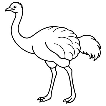 recommend clip art: ostrich line art vector