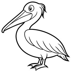 pelican line art vector