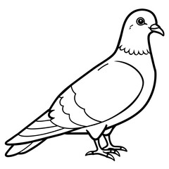 pigeon line art vector