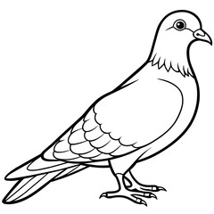 pigeon line art vector