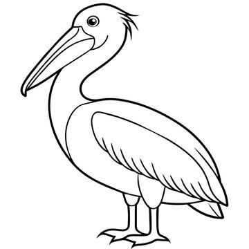recommend clip art: pelican line art vector