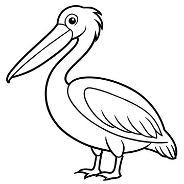 recommend clip art: pelican line art vector