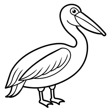 recommend clip art: pelican line art vector