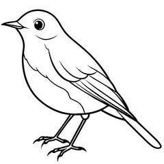 robin line art vector