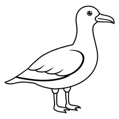 seagull line art vector